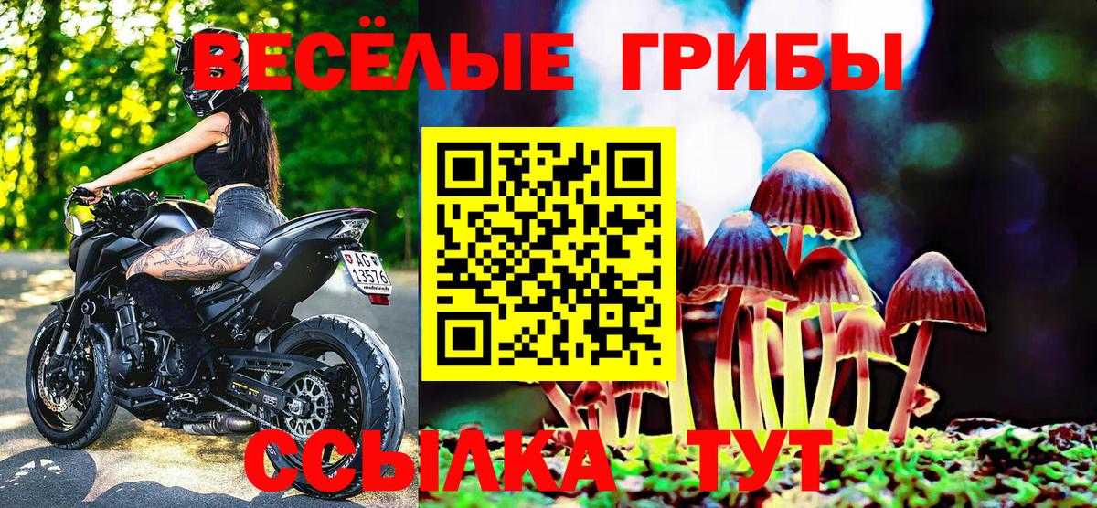 Псилоцибиновые грибы мицелий  Вход с VPN  наркотики  Урюпинск 