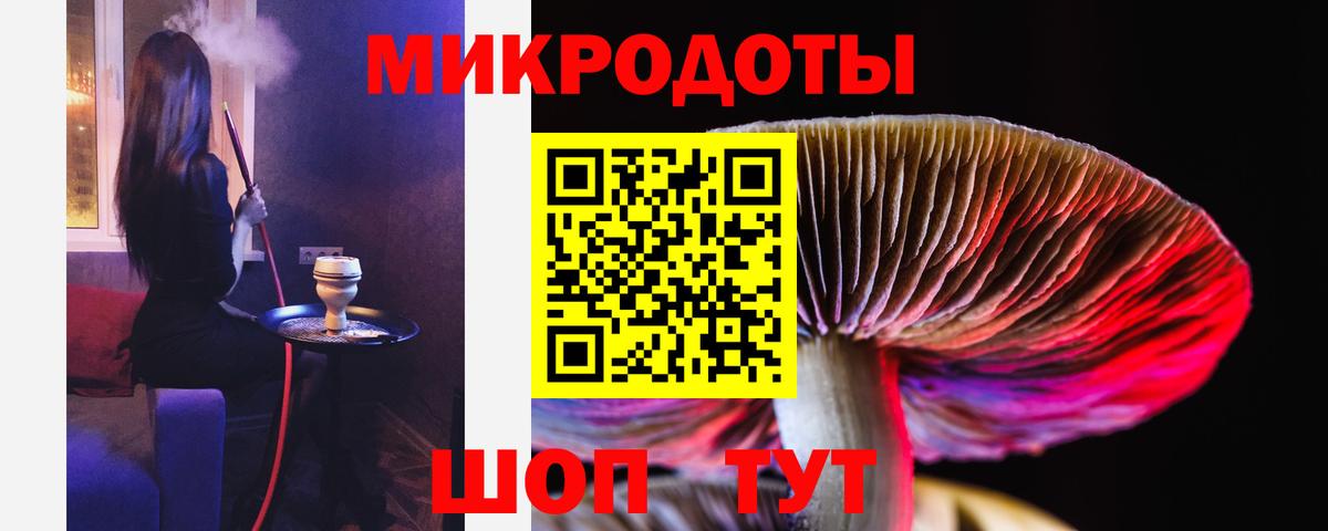 Галлюциногенные грибы Psilocybine cubensis Урюпинск